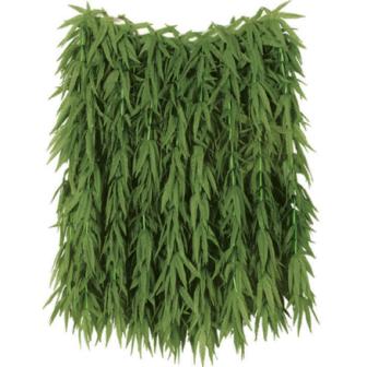Farn Hula Rock 61 cm