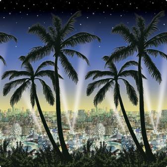 Wanddeko Honolulu bei Nacht 1,2 x 12,2 m