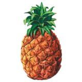 Wanddeko Ananas 60 cm