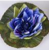 Schwimmende Seerose blau