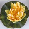 Schwimmende Seerose gelb