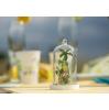 Tischdeko "Sommer im Glas" 10 cm - Dekobeispiel